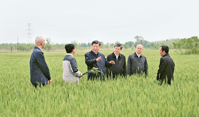 2023年5月11日至12日，中共中央總書記、國(guó)家主席、中央軍委主席習(xí)近平在河北考察，并主持召開深入推進(jìn)京津冀協(xié)同發(fā)展座談會(huì)。這是11日上午，習(xí)近平在滄州市黃驊市舊城鎮(zhèn)仙莊片區(qū)旱堿地麥田考察時(shí)，同種植戶、農(nóng)技專家親切交流。 新華社記者 李學(xué)仁/攝