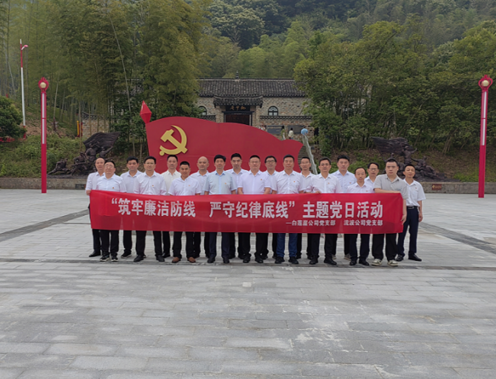 白蓮崖電站、流波電站_副本.png